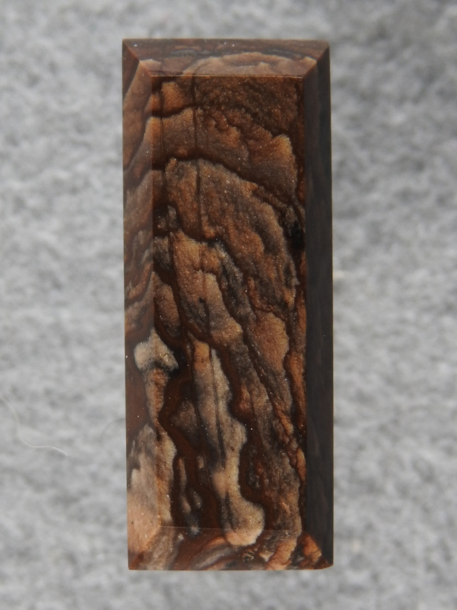 Biggs Jasper 887  :  Cut for a small pendant it has nice hill patterns.