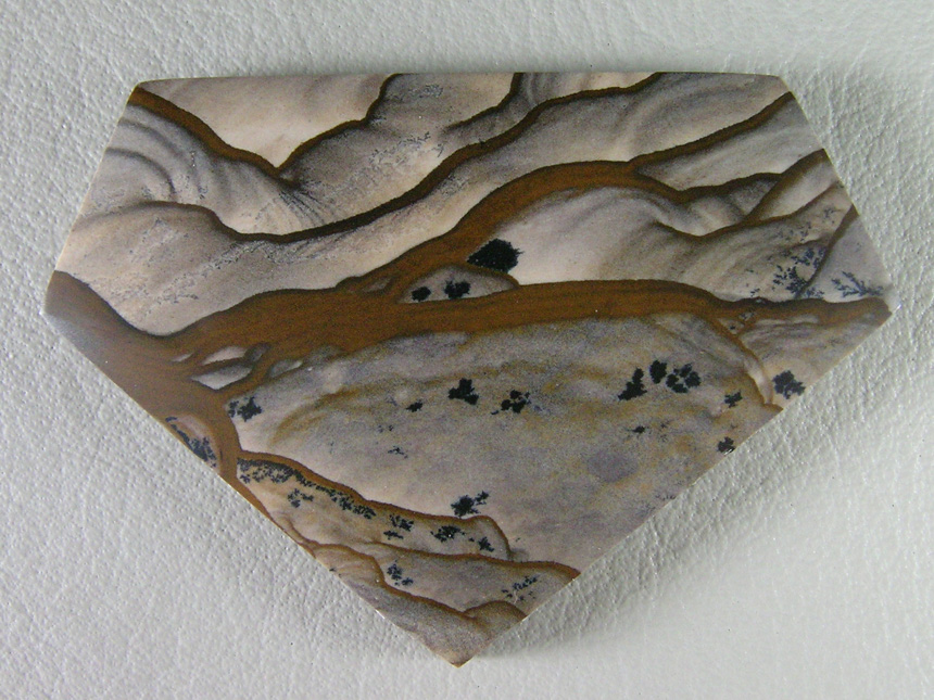 Traded Biggs Jasper 904T  :  Biggs Jasper, always a pleasure to cut and bring out these photos in stone.  This is a nice gemmy piece.