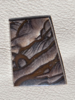 Traded Biggs Jasper 1290T  :  description