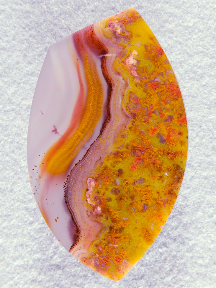 Apache Flame Agate 1893  :  A Nice large Collector cab with the classic ribbons and a field of Plume in a Yellow field.