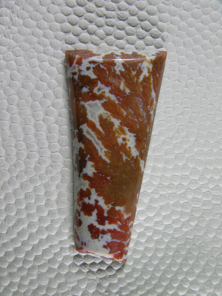 Canadian River Plume 549  :  This Plume rocks against the white backdrop.  A great cab sure to be a pendant