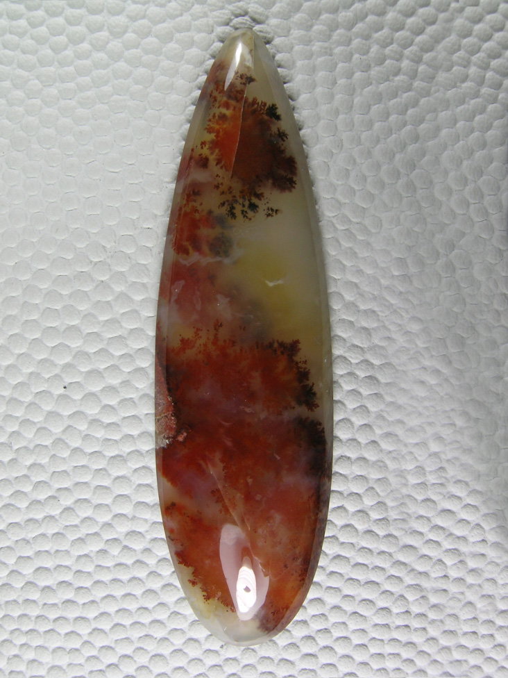 Carey Plume Agate 550  :  I bought this long shard of Carey Plume for 5 dollars out of a tray of mixed slabs.  What an elegant cab!