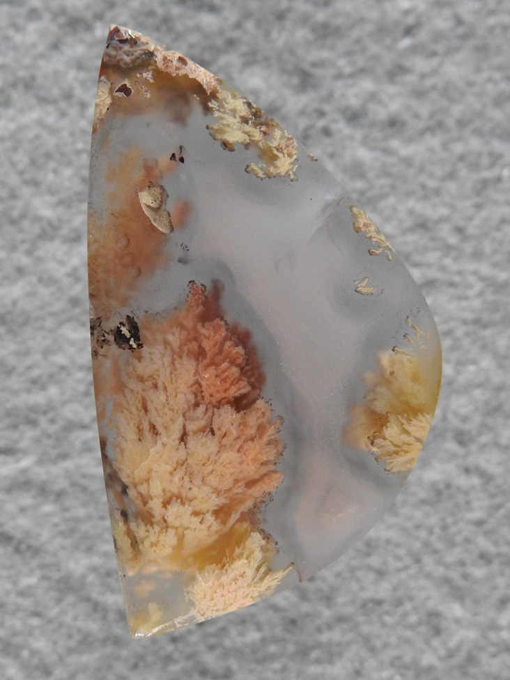 Caneros Ranch Plume 836  :  A small broken section of a slab had this plume spray and it made a great little stone for a necklace.