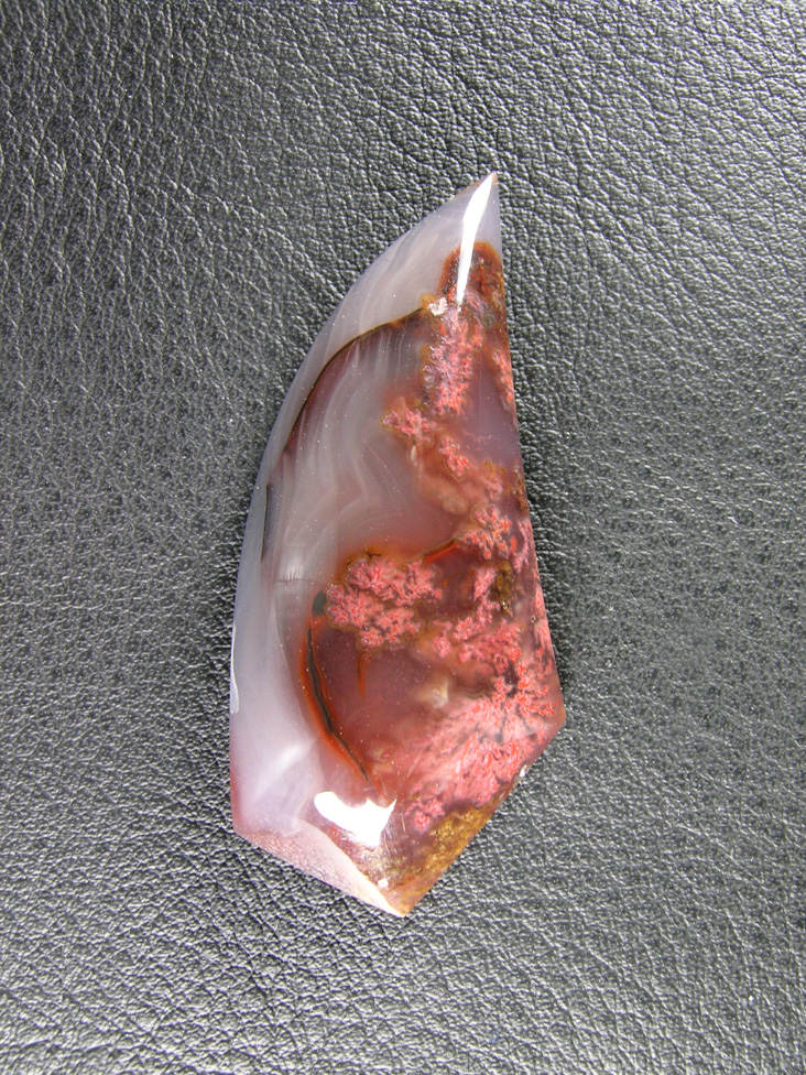 Caneros Ranch Plume 837  :  Orange Pinkish Plumes float thru this clear and White Agate
