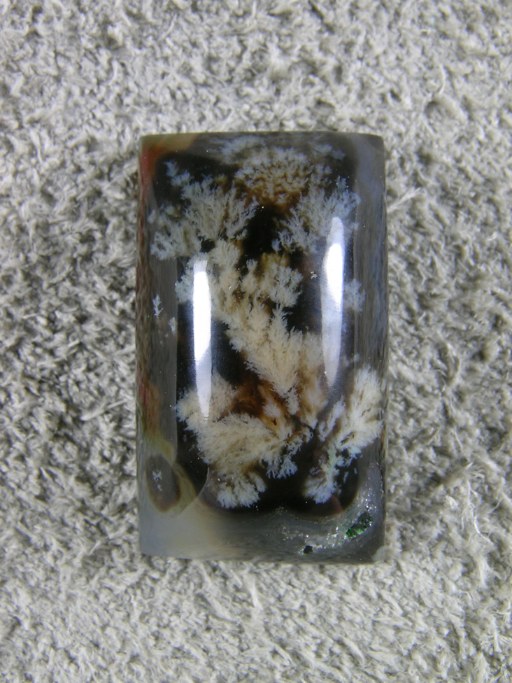 Horse Canyon Plume Agate 714  :  White Plume on Black with extremely well formed plumes!  This is waiting for a ring to hold it.