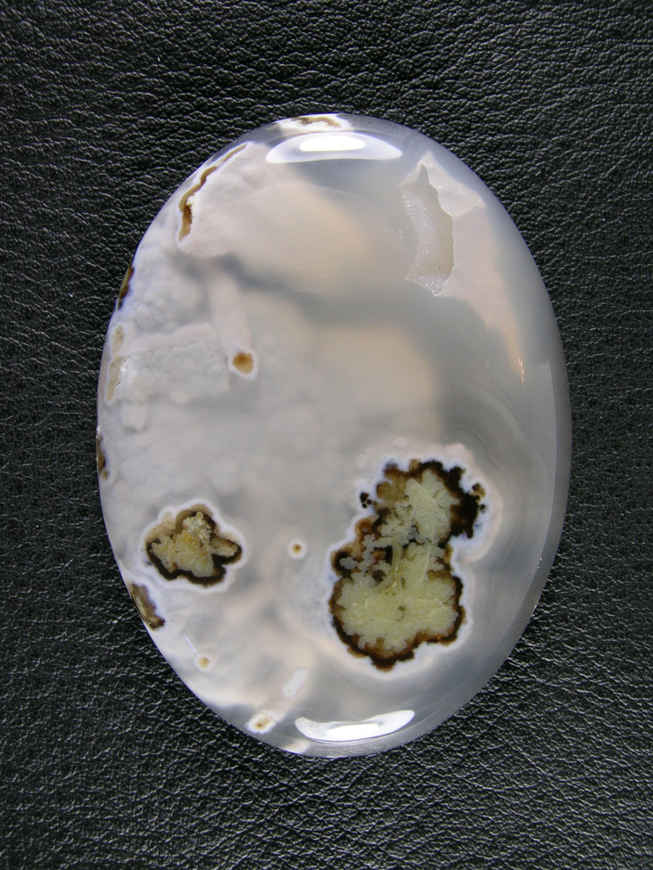 Horse Canyon Plume Agate 739  :  The White clouds in this Agate hide the Black coating with Plume centers but cutting through them makes for a pretty stone.