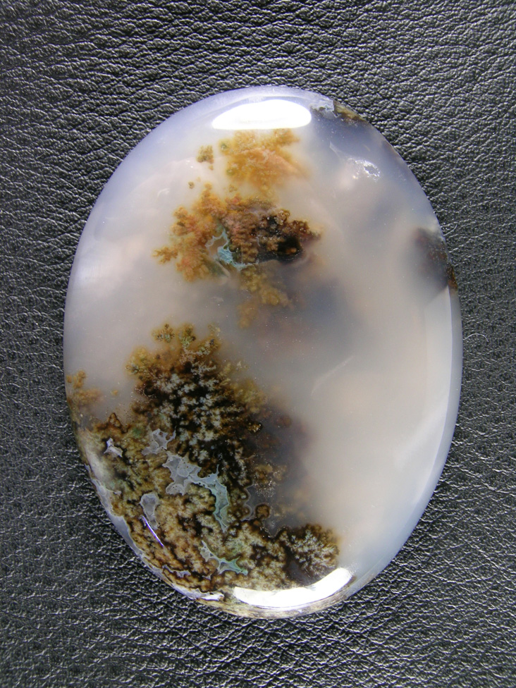 Horse Canyon Plume Agate 741