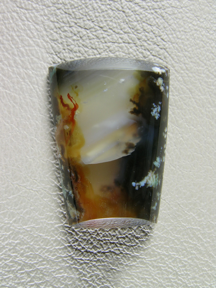 Horse Canyon Plume Agate 773  :  Clear and Black Agate with plumes and Waterline.