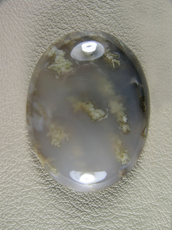 Horse Canyon Plume Agate 775  :  Beautiful high dome cab with plumes rising up thru the clear Agate like a kelp forest.