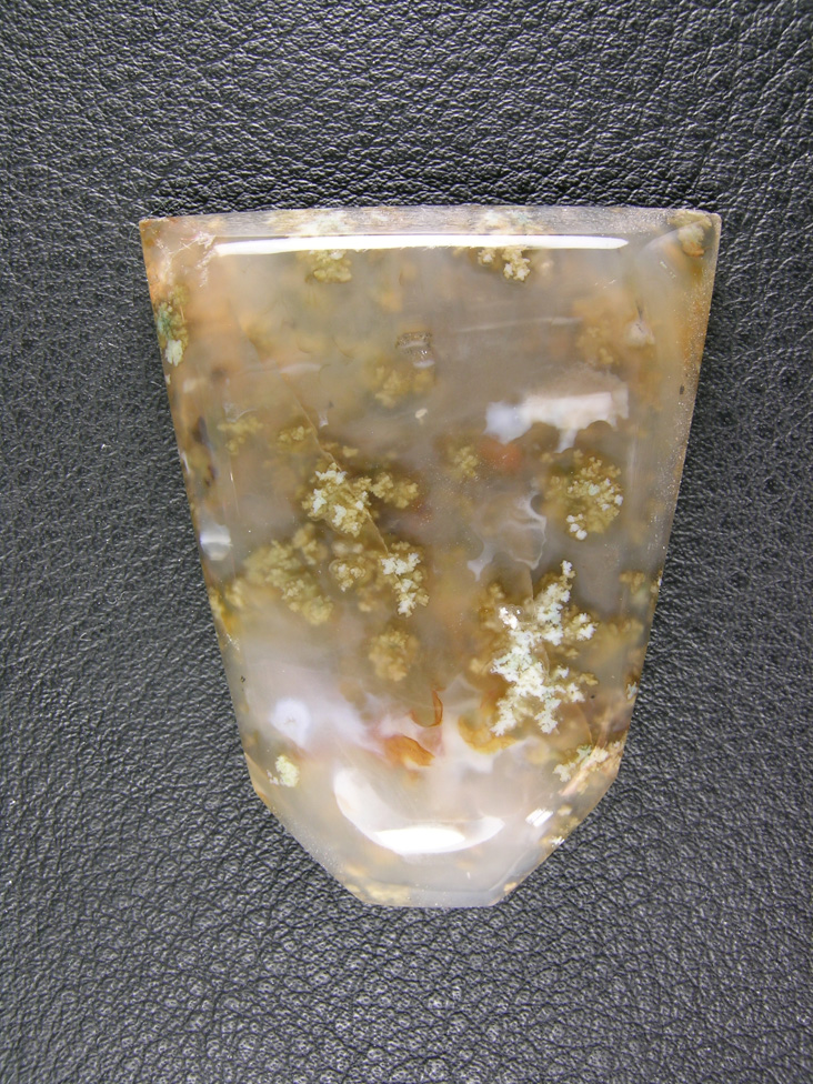 Horse Canyon Plume Agate 779  :  Golden Plumes with White centers highlight this Bola shape of translucent milky Agate.