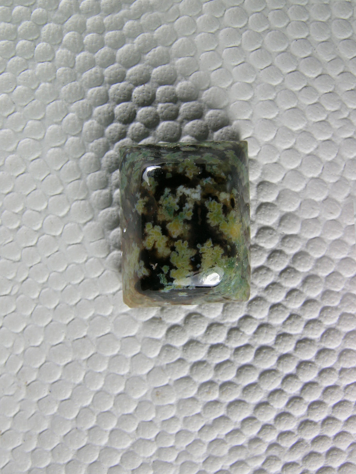 Horse Canyon Plume Agate 782  :  Light Green Plumes in this Black Agate (common color combo at Horse Canyon)