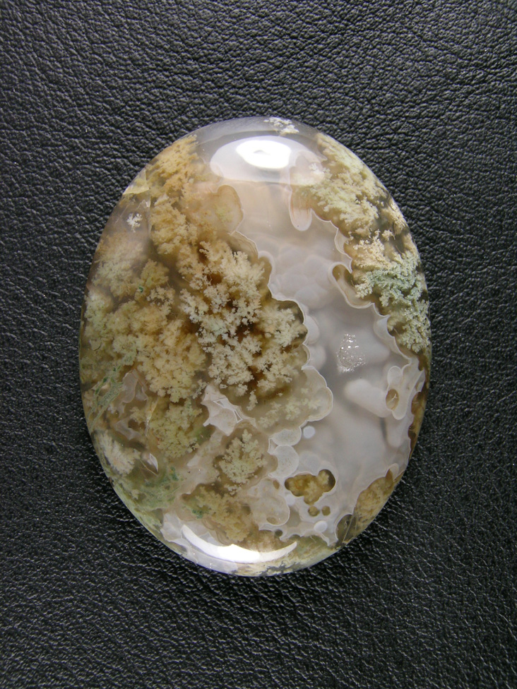 Horse Canyon Plume Agate 785  :  Luckily this cab was from a large piece of rough I dug up that gave me quite a few slabs.  Plumes on both sides of the White floater pocket.  What a cab!