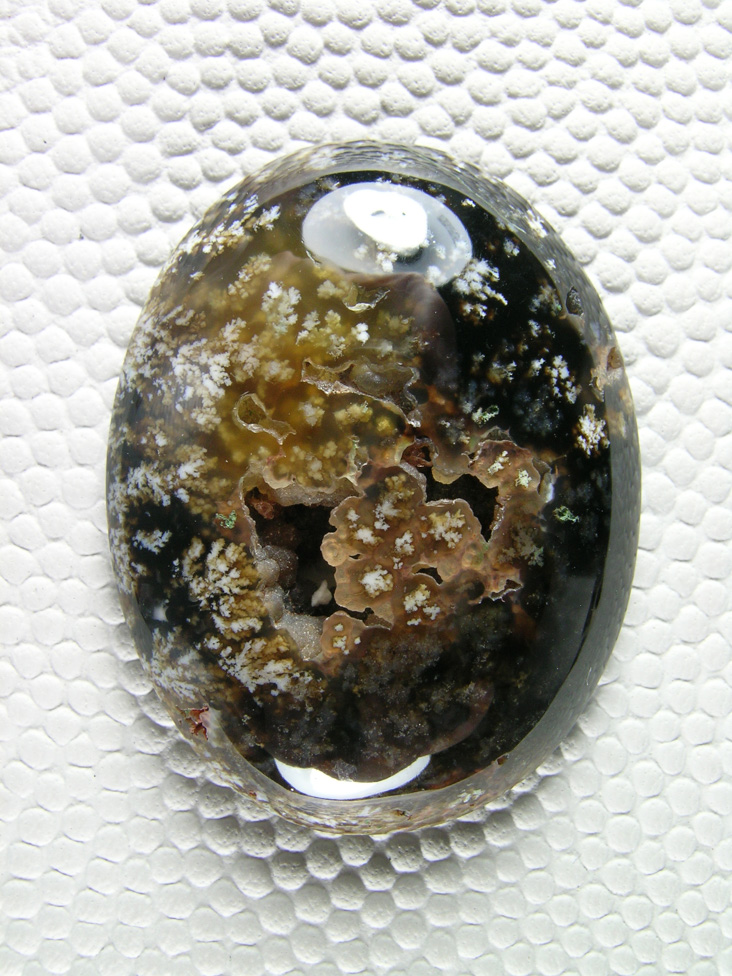 Horse Canyon Plume Agate 786  :  A Great Black and Gold Plume Agate cab.  This was from one of my first trips into the site.