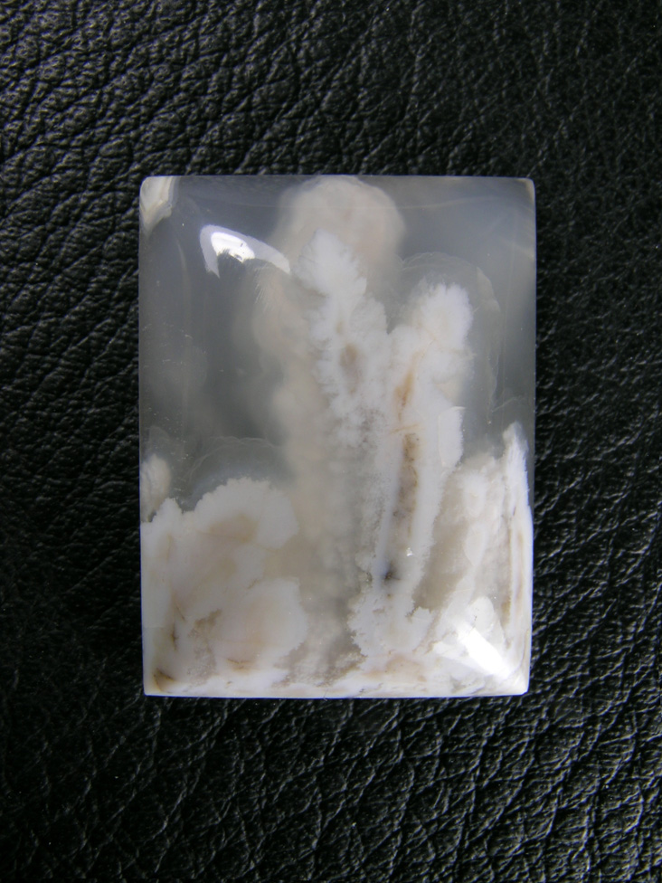 Icicle Agate 625  :  Traditional cab of Icicle Agate ith water clear Agate and White Opal plumes.