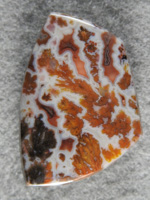 Canadian River Plume Agate 1865 : Wonderful cab with plumes spraying across the cab.  White and GFold contrast nicely to show plumes.