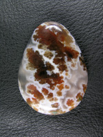 Horse Canyon Plume Agate 704  :  I got 2 slices out of the stone and WOW.   Finding these multi colored Plumes hiding in these White clouds was quote the treat.  A large stone and top notch.
