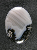 Horse Canyon Plume Agate 740  :  Black Agate and plumes surrounded by White Agate and then layer after layer of waterlines.  Large cab and very beautiful.