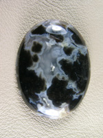 Horse Canyon Plume Agate 771  :  A wonderful Black and White Agate cab with Black Plumes hidden in the Black Agate.