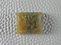 Horse Canyon Plume Agate 781  :  A small ring stone or even a pendant.  The golden Agate sets off these perfect Green Plumes.