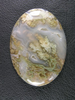 Horse Canyon Plume Agate 784  :  A large traditional cab with fantastic Moss and Plumes.  This is a perfect cab and definately a collectors piece.