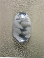 Icicle Agate 622  :  Traditional cab of Icicle Agate ith water clear Agate and White Opal plumes.