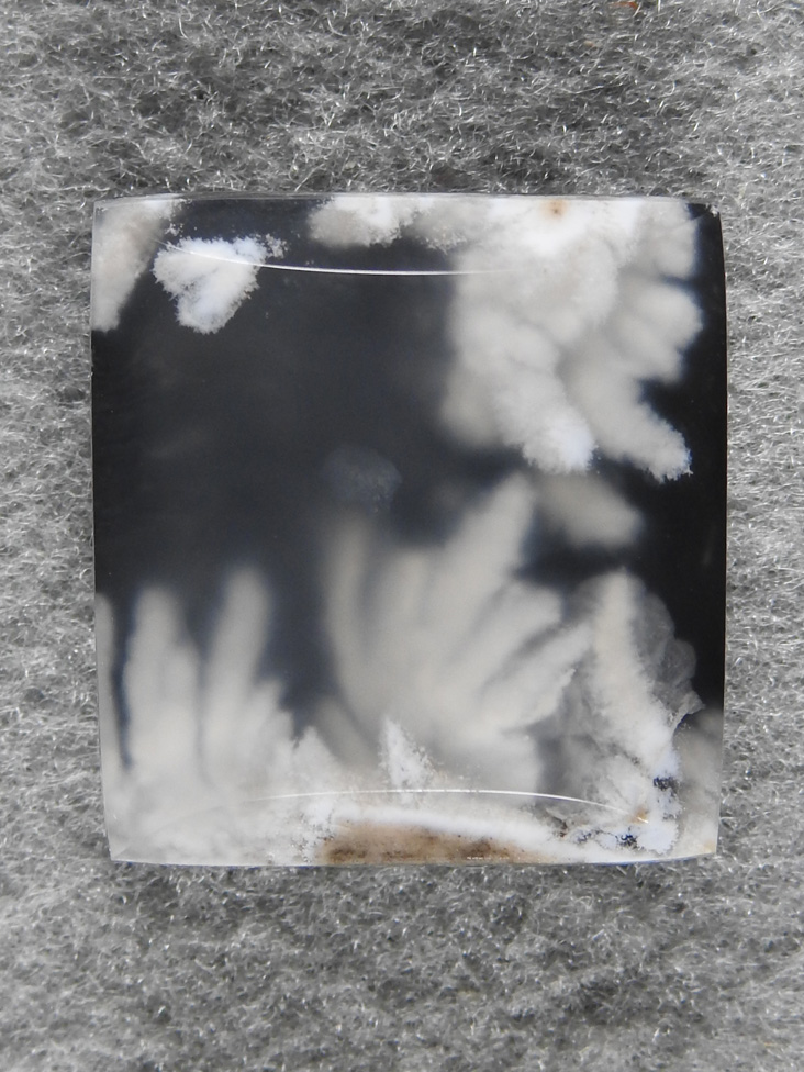 Icicle Agate 1676 : recently discovered this new seam of smaller curved plumes in another canyon and backed it with Mojave Basenite.