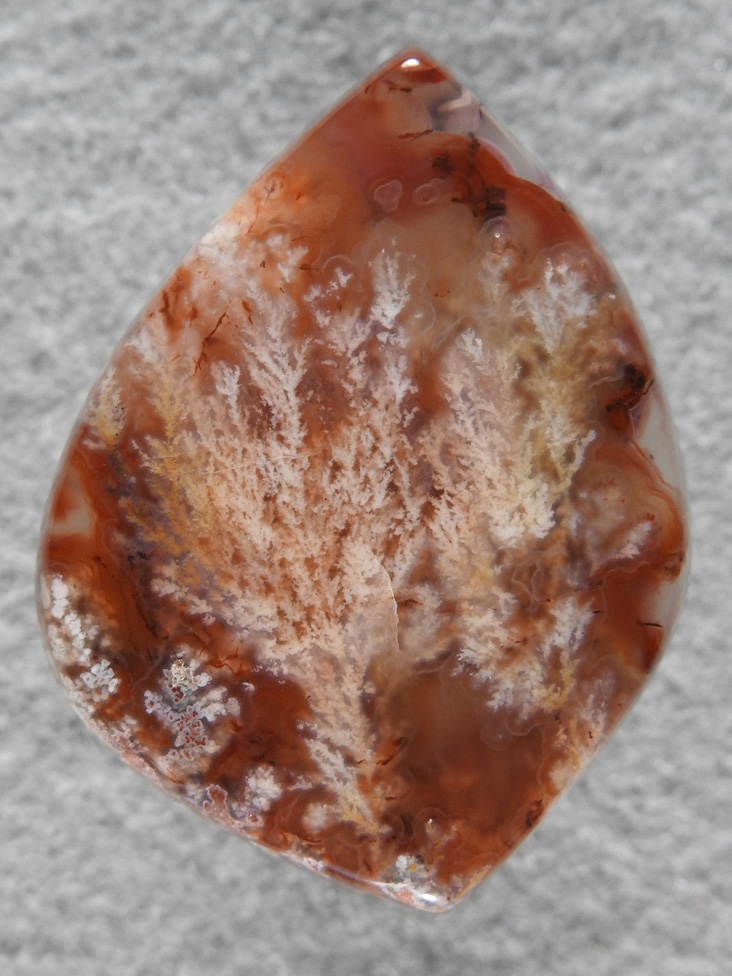 Laguna Agate 25  :  description