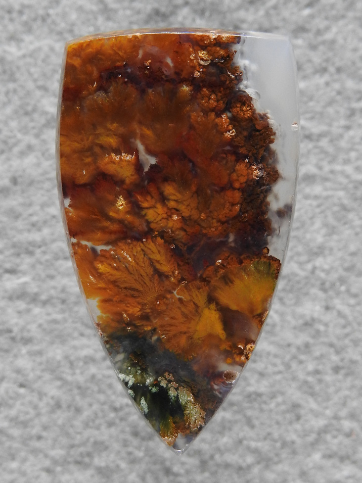 Laguna Agate 31  :  description