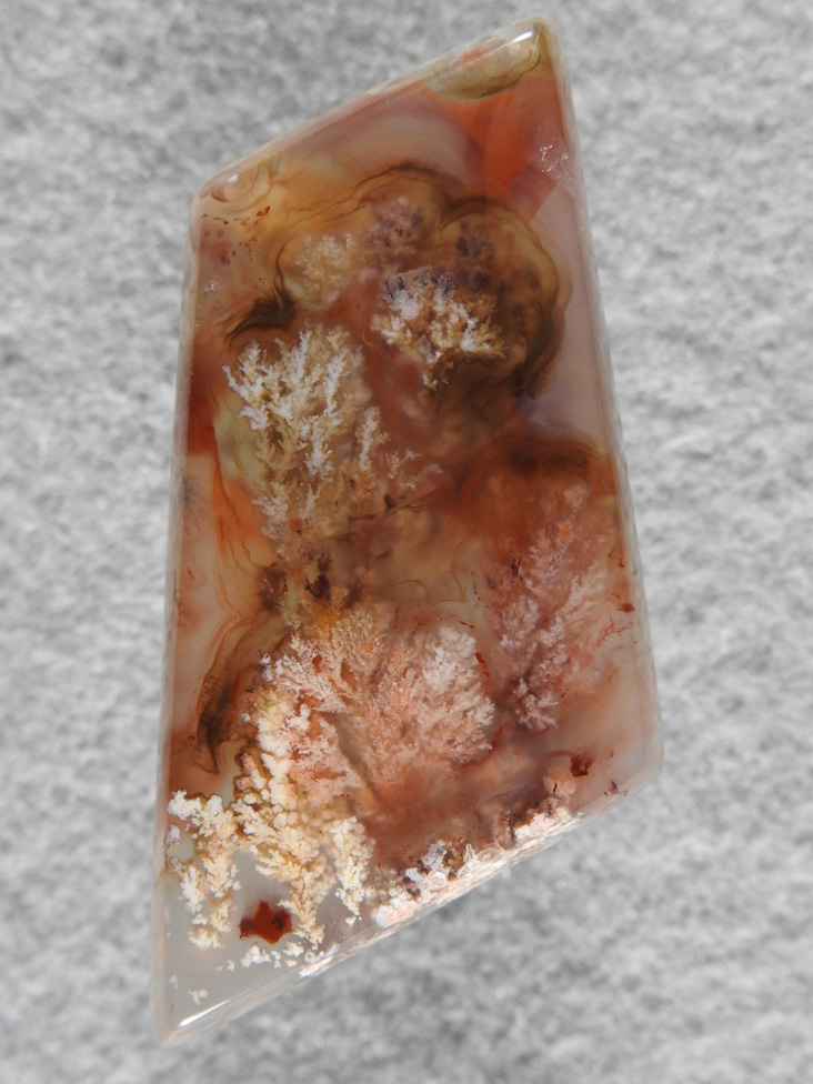 Laguna Agate 42  :  description