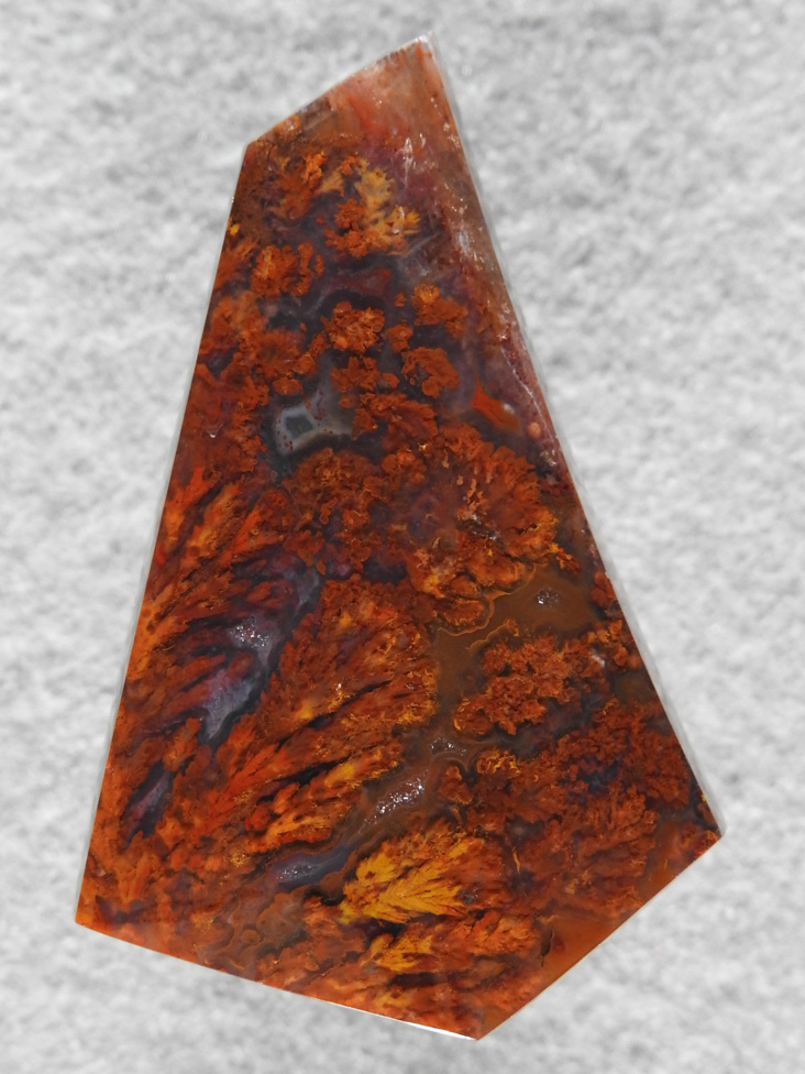Laguna Plume Agate 66  :  A beautiful multi colored Plume from the classic Laguna beds in Mexico.  A glassy polish with no undercutting in the plumes