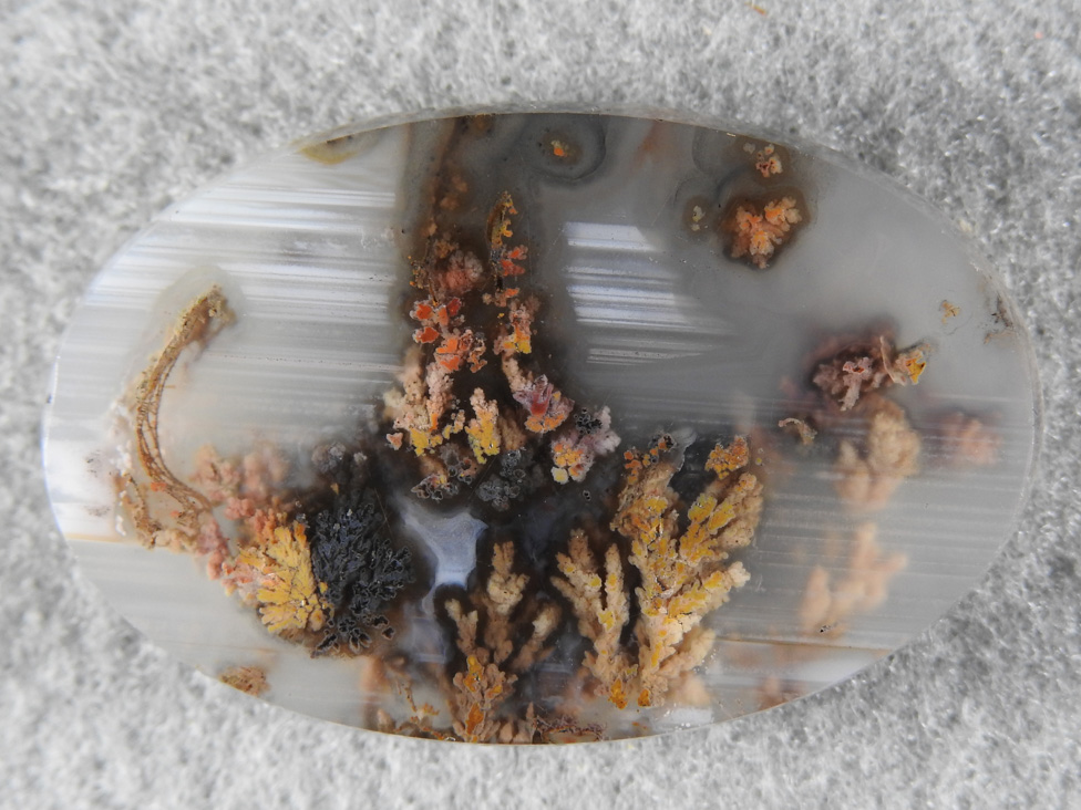 Priday Plume Agate 1804 I did not cut this cab but purchased it as one I couldn't pass up.