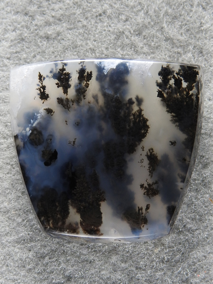 Singleton Plume Agate 1549 : A Kelp forest of Black Plume in this cab. Hard to imagine more plume in there.
