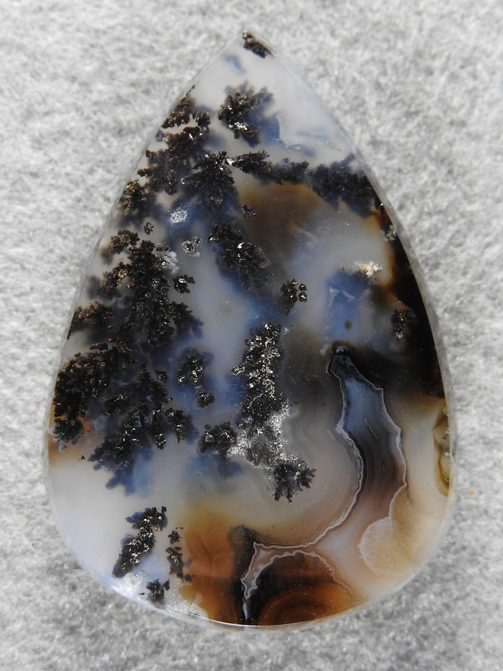 Singleton Plume Agate 1557 : I love the Brown, plumes and fortification pattern in this cab. So much going for it.