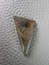 Rutilated Quartz 1057