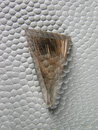 Rutilated Quartz 1064