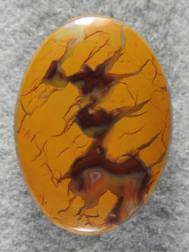 Stone Canyon Jasper 1679 : A glassy oval with lightning pattern from one of the 2 fieldtrips I led into Stone Canyon for this fantastic Jasper.