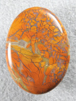 Stone Canyon Jasper 1078 : So bright and perfect. This is one of the great jaspers.