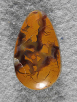 Stone Canyon Jasper 1683 : Teardrop from one of the 2 fieldtrips I led into Stone Canyon for this fantastic Jasper.