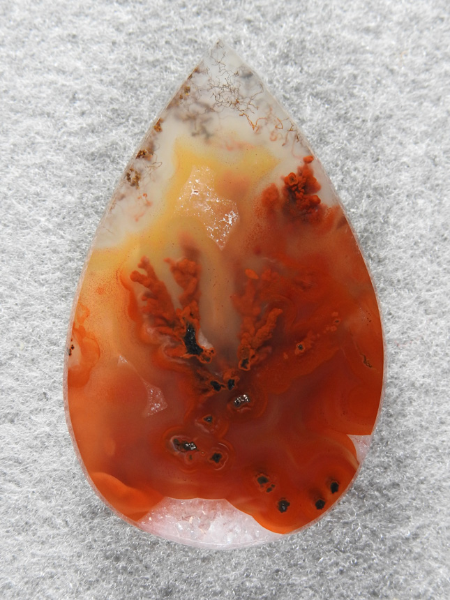 Walker Ranch Plume Agate 1809 : I love collecting on this Ranch and the material is out of this world.  A very Gemmy cab with Red Plume coming from the depths.