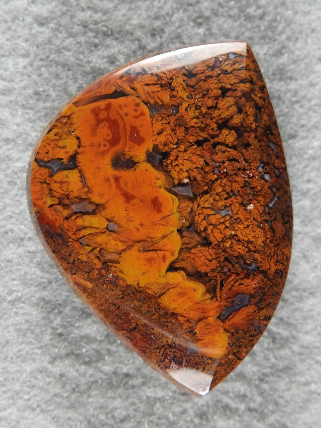 Walker Ranch Plume Agate 2005 : Walker flower gadren from the backside of the bird hills. So much plume and so tight.