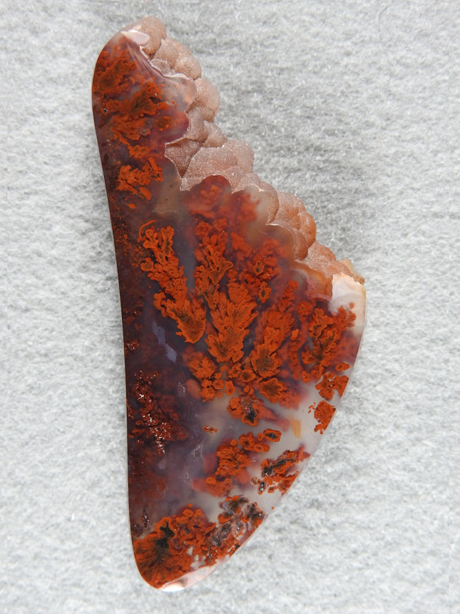 Walker Ranch Plume Agate 2006 : My favorite cab that I have cut of this wonderful and rare material. Sharp Red PLumes with a natural edge.