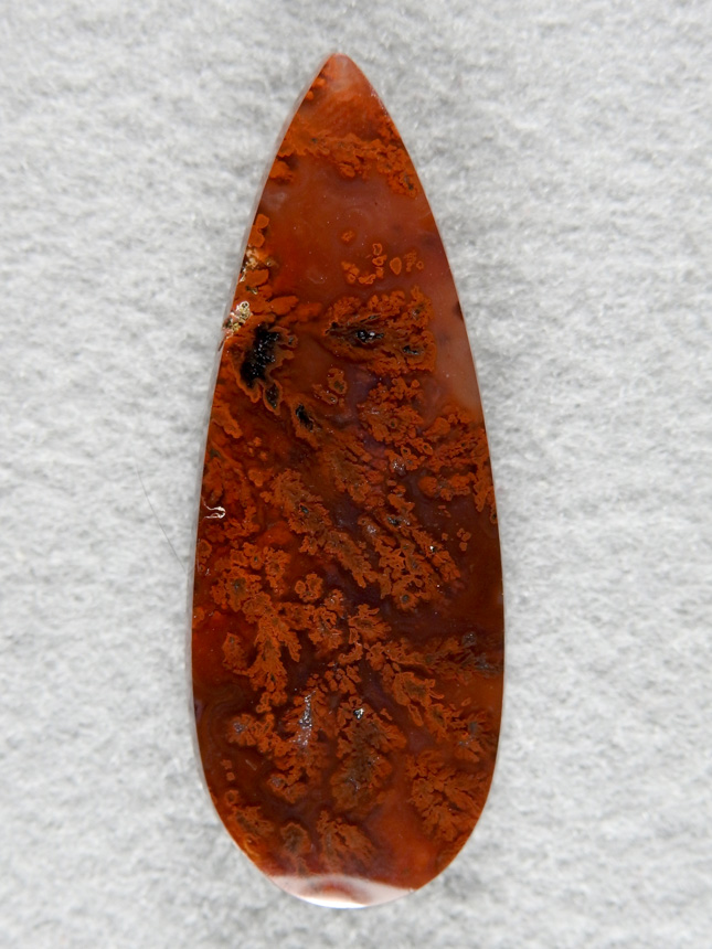 Walker Ranch Plume Agate 2011 : This is just classic Red on Red top end plume from the Walker.