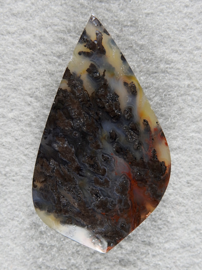 Walker Ranch Plume Agate  2012 : This came from a massive 10