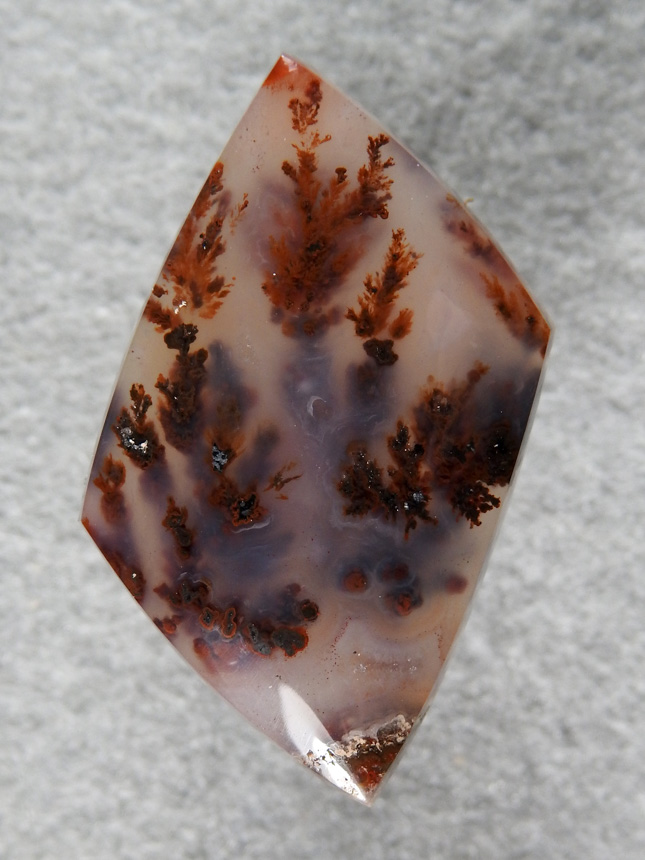 Walker Ranch Plume Agate 2149 : Awesome plumes coming up thru the agate.