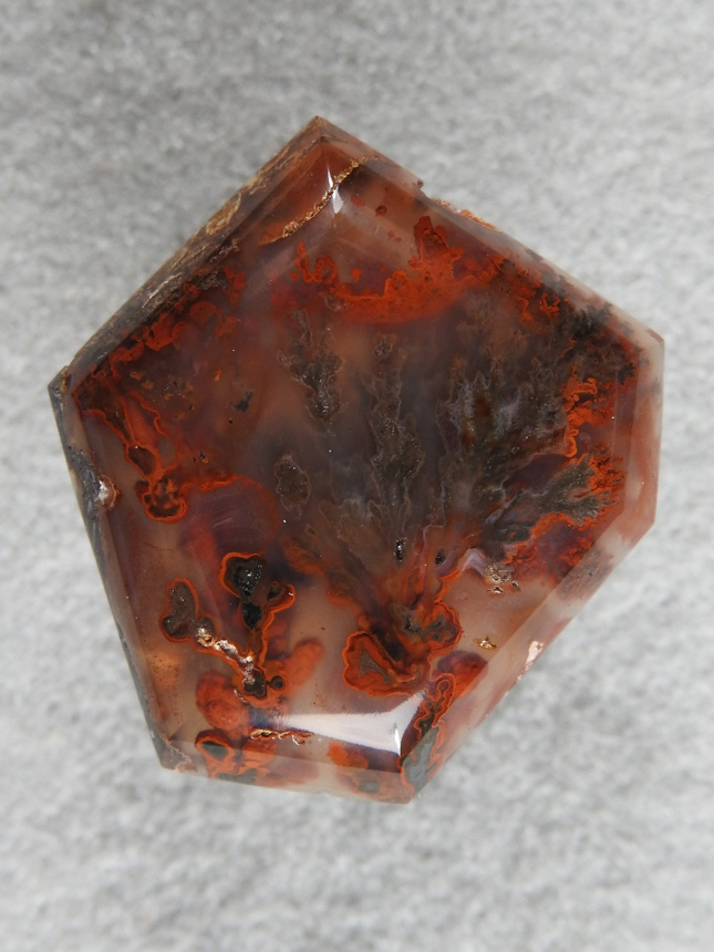 Walker Ranch Plume 476  :  A low domed geometric cut with Red framing the Black Plumes at center.  A very nice cab.