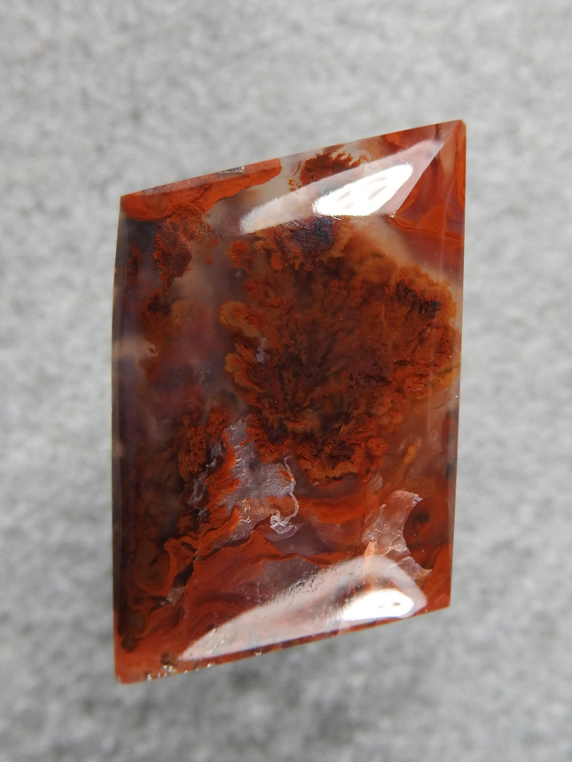 Walker Ranch Plume 478  :  A nice cab with one main Plume blosson at top and other plumes up left side.