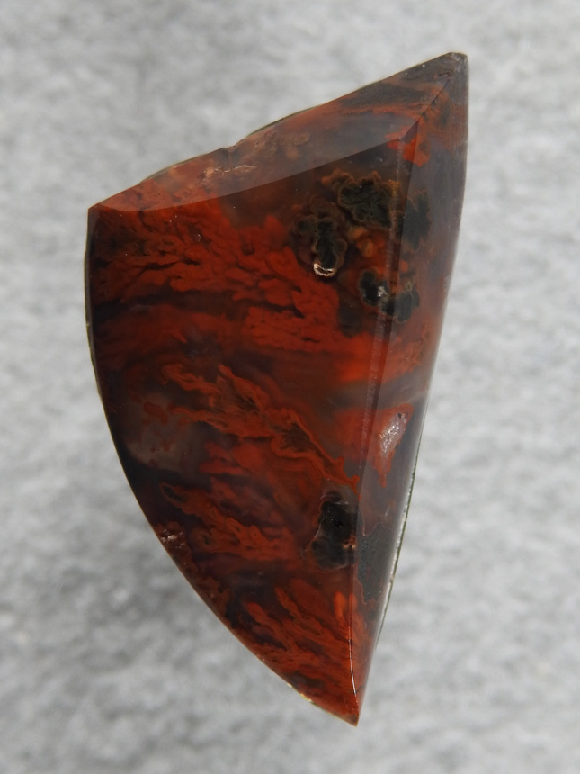 Walker Ranch Plume 480  :  A pleasing cut for a pendant.  Beveled top and right side with rounded left.  Bright red Plumes.