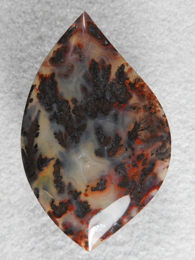 Walker Ranch Plume 486  :  A large cab of Yellowish and White Agate with the plumes popping up thru the stone.