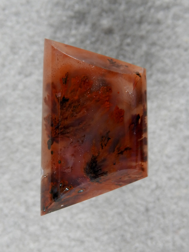 Walker Ranch Plume 488  :  A very pretty cab with Red and Black plumes.