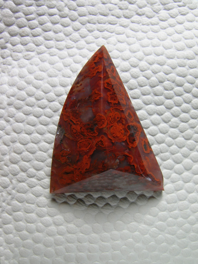 Walker Ranch Plume 487  :  Triangular point of Red blossoms,  not really Plume in this piece but the puffs that surround the plumes.  Very bright and colorful.